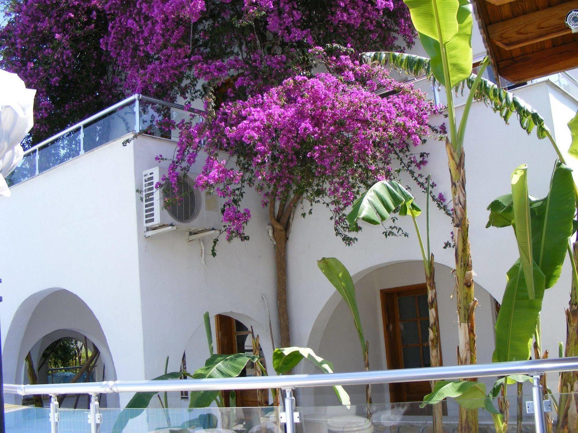 Filis Hotel Bodrum Exterior photo